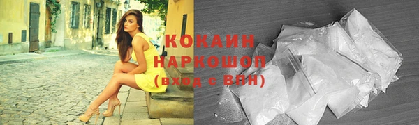 a pvp Няндома