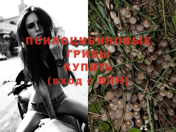прущие крисы Остров