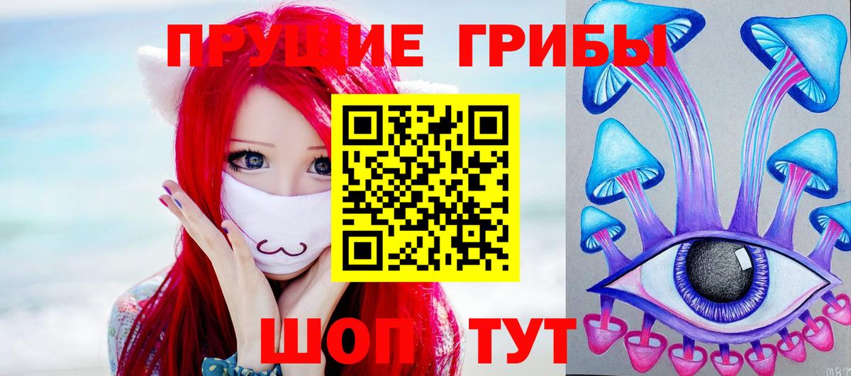 Псилоцибиновые грибы Psilocybine cubensis  Псилоцибиновые грибы мицелий  Стерлитамак 