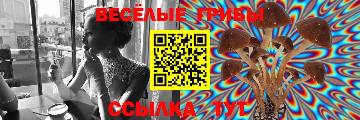 Псилоцибиновые грибы Cubensis  Вход с VPN  где найти   Стерлитамак 