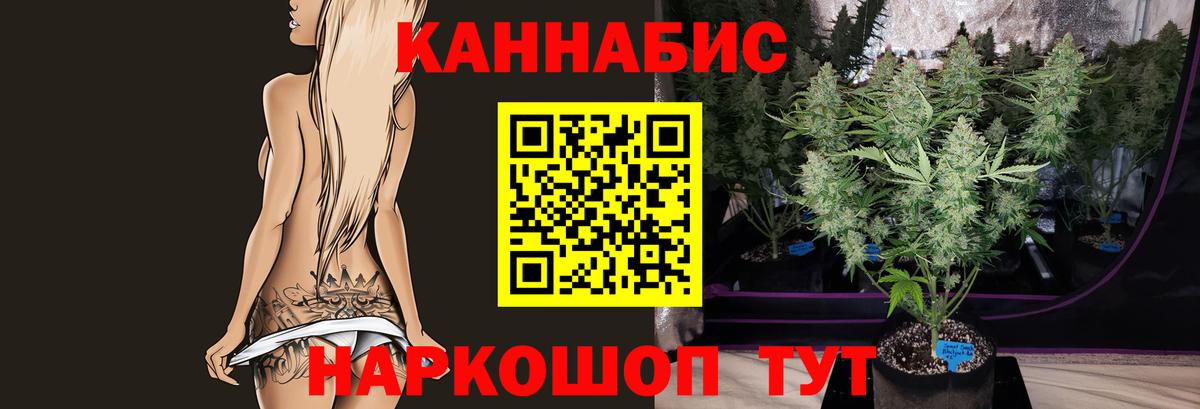 Бошки марихуана семена  Шишки марихуана Amnesia  Стерлитамак  Бошки марихуана Bruce Banner 